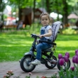 Tricycle Coccolle Velo Mustard