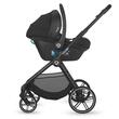 iSize Coccolle 40-75  Knox Anthracite
