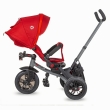 Tricycle Coccolle  Pianti Ruby Red