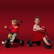 Tricycle  Qplay Ant Grey