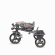 Tricycle Coccolle Primo Lunar Rock