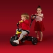 Tricycle  Qplay Ant Grey