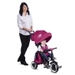 QPlay Rito+ Tricycle Purple