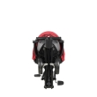 Tricycle  Qplay Nova Niello Red
