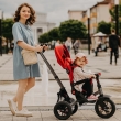 Tricycle Coccolle  Pianti Ruby Red