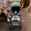 Autofold Sport Stroller Coccolle Sierra Taupe brown
