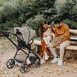 Travel system  2in1 Coccolle Lissia Butternut beige