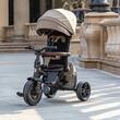 Tricycle Qplay Comfo Max Coffee