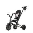 Tricycle  Qplay Nova Niello Grey