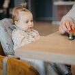Highchair  Coccolle  Ziti Grey Stars