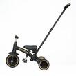 Tricycle Qplay STAGER Platinum
