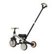 Tricycle Qplay STAGER Silver