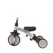 Tricycle Qplay STAGER Silver