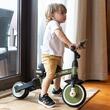 Tricycle Qplay STAGER Green