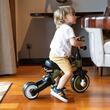 Tricycle Qplay STAGER Green