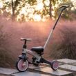 Tricycle Qplay STAGER Pink