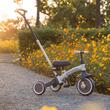 Tricycle Qplay STAGER Brown