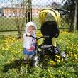 Tricycle Coccolle  Spectra Sunflower Joy