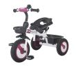 Mama Love Rider Multifunctional Tricycle Purple