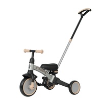Tricycle Qplay STAGER Silver